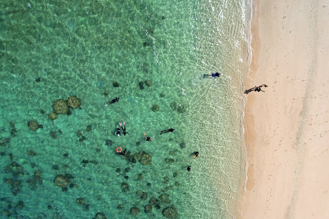 Full-Day Cruise Tour to Frankland Islands Great Barrier Reef - Before You Book Important Notes