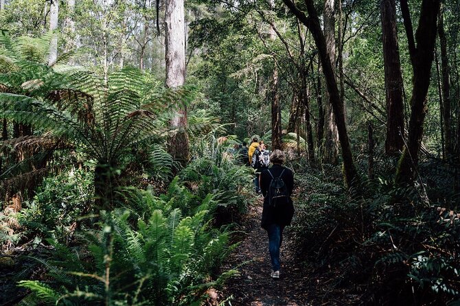 Full-Day Guided Bruny Island Tour From Hobart - Traveler Reviews and Ratings