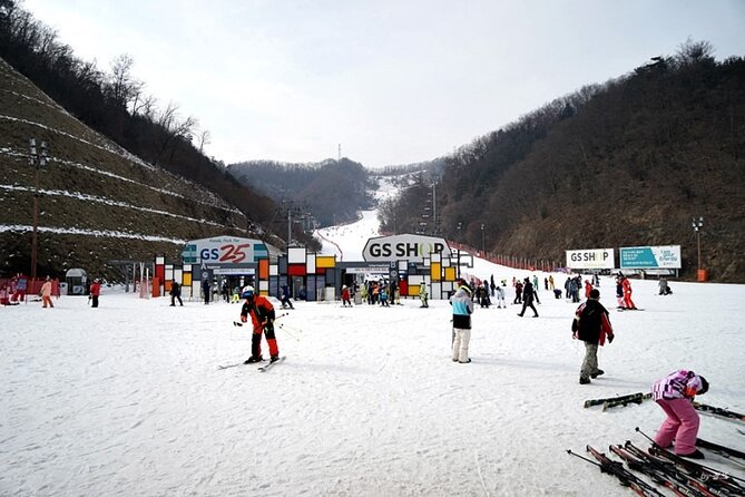 Full Day Private Tour Nami Island & Gangchon Elysian Ski - Essential Preparation and Tips