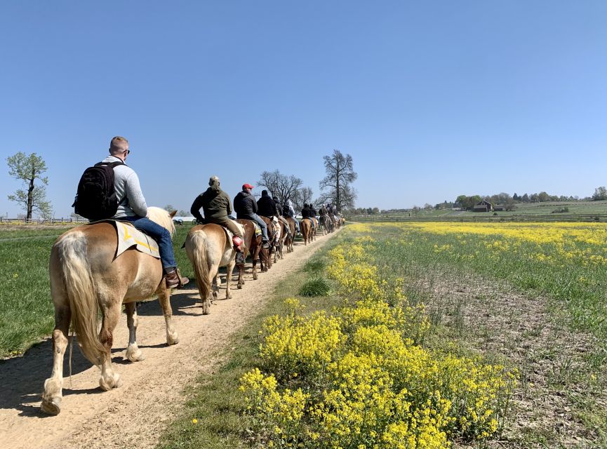 Gettysburg: Licensed Guided Battlefield Horseback Tour - Safety Guidelines