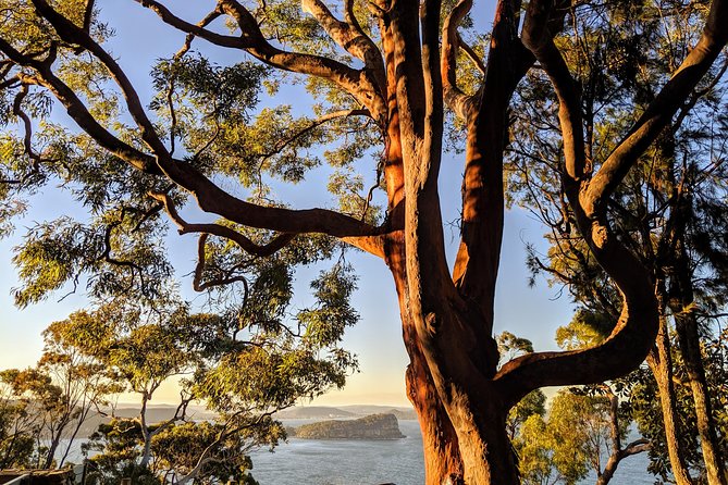 Golden Beaches and Ocean Vistas MANLY AND NORTHERN BEACHES PRIVATE TOUR - Booking and Cancellation Policies