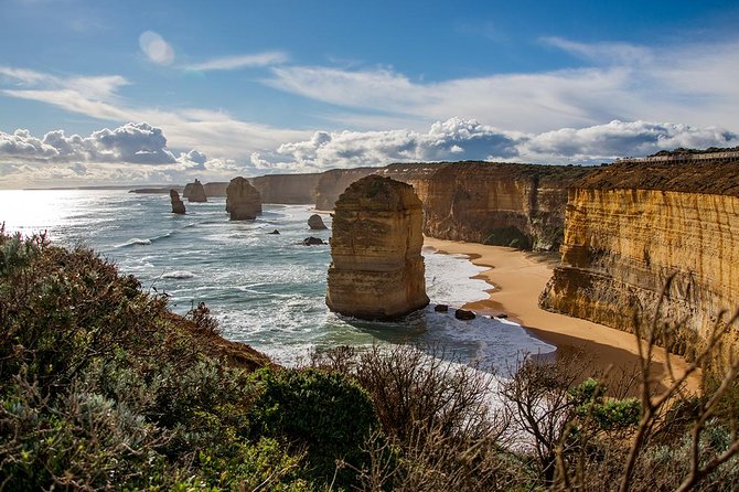 Great Ocean Road and 12 Apostles Full-Day Trip From Melbourne - Reviews and Ratings Overview