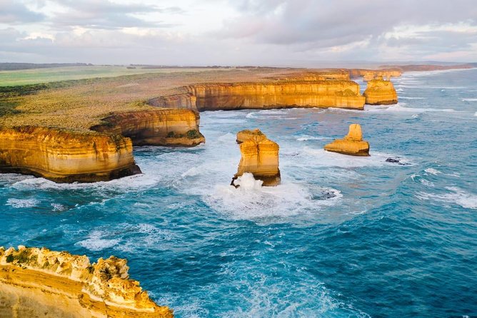 Great Ocean Road Medium Size Group Tour - Why Choose This Tour