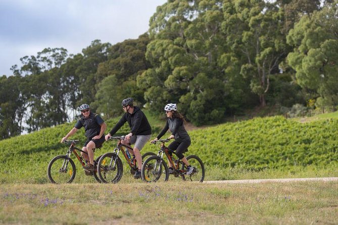 Hahndorf Food and Wine E-Bike Tour - Safety and Accessibility Notes