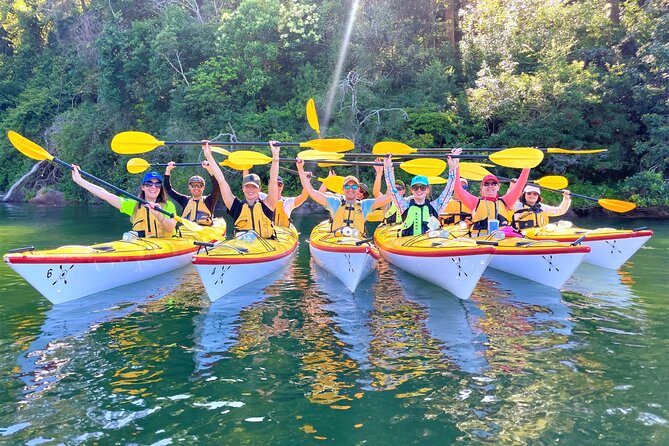 Half-Day Sydney Middle Harbour Guided Kayaking Eco Tour - Tour Reviews and Testimonials