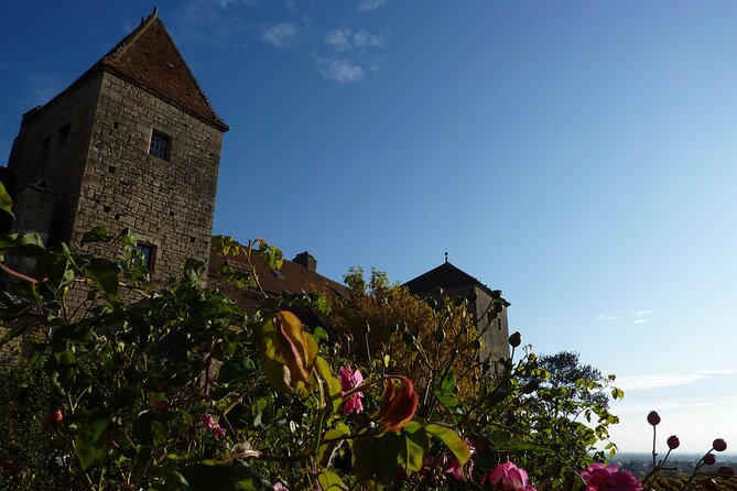 Half Day Tour of the Cote De Nuits Vineyards From Dijon - Terms and Conditions