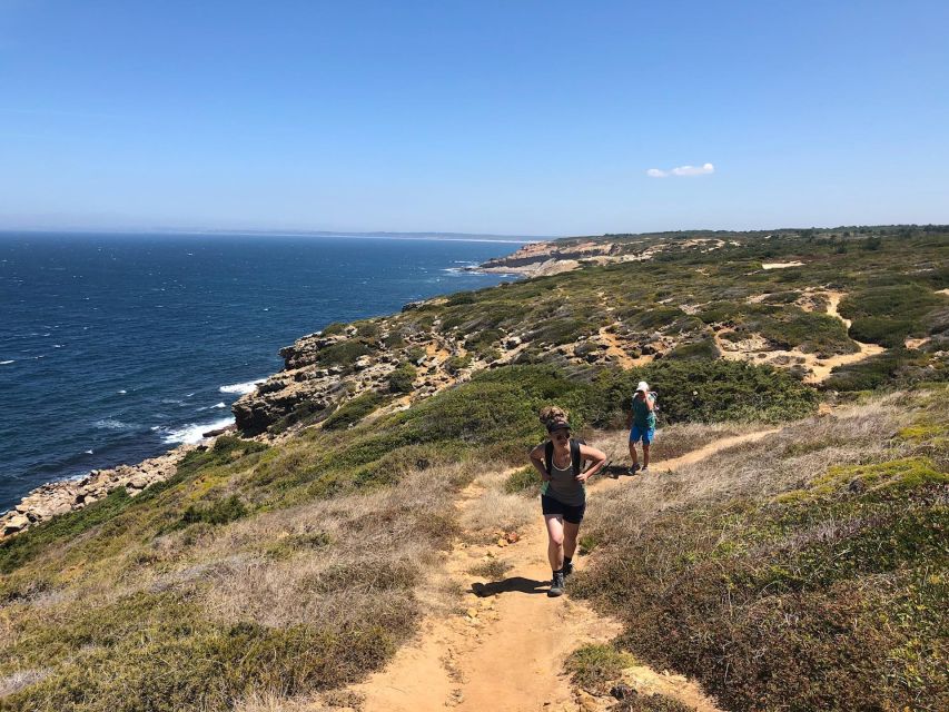 Hiking Tour Along the West Coastline - Review Summary and Categories