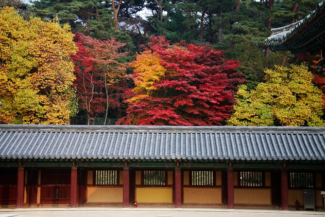 Historic and Natural Beauty- Gyeongju Autumn Foliage Day Tour - Making the Most of Your Day