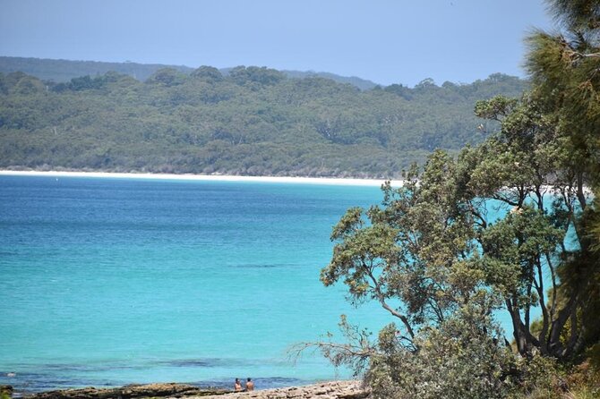 Jervis Bay & Dolphins Cruise - One Day Tour - Why Choose This Dolphin Cruise