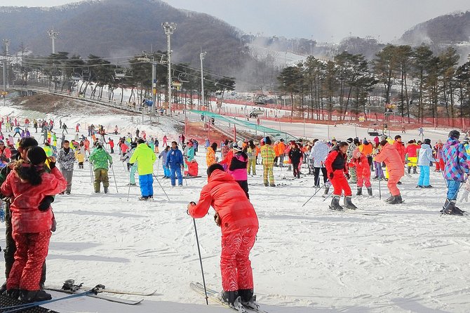 Jisan Ski Resort Serving Breakfast From Seoul (No Shopping) - Cancellation Policy Details