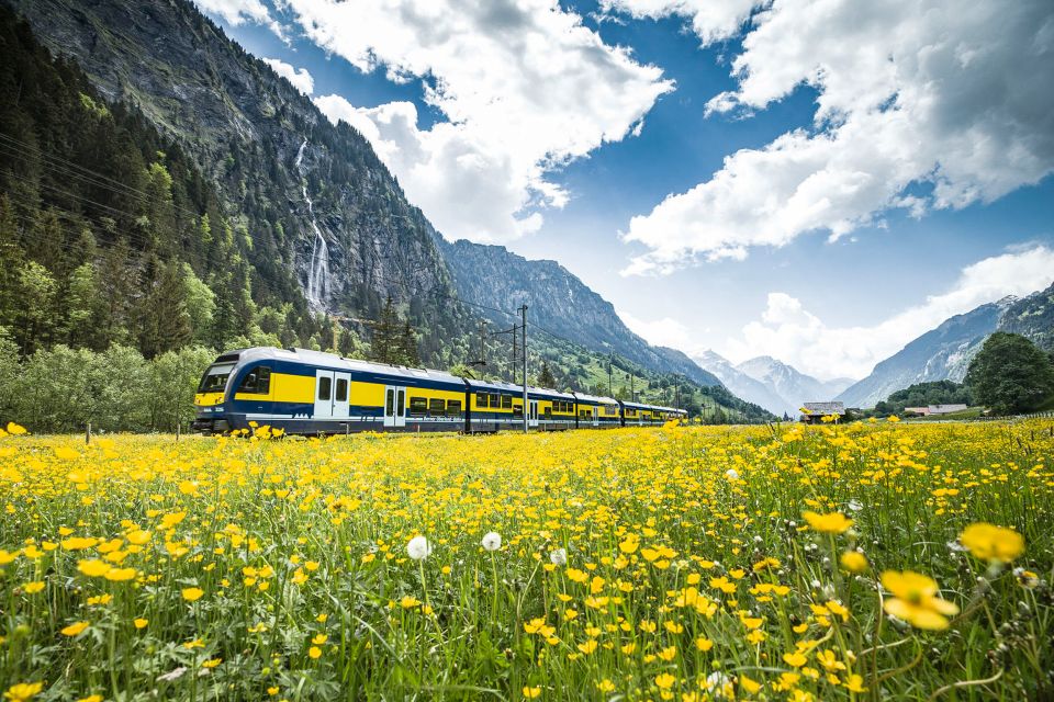 Jungfraujoch: Roundtrip to the Top of Europe by Train - Scenic Ride Information