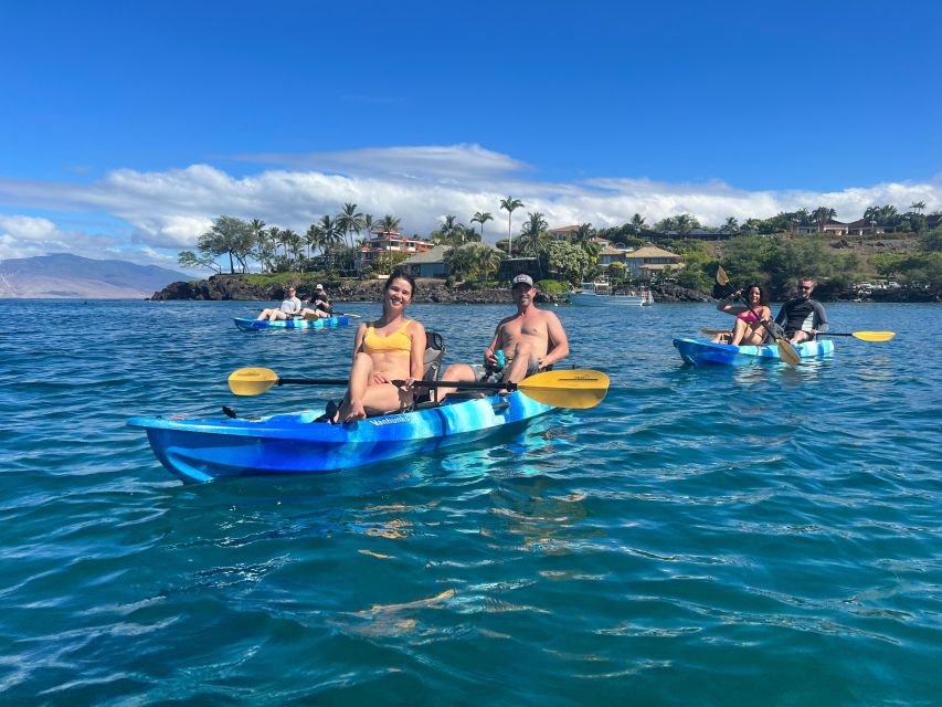 Kayak, Whale Watch And Snorkel At Turtle Town - Testimonials and Feedback