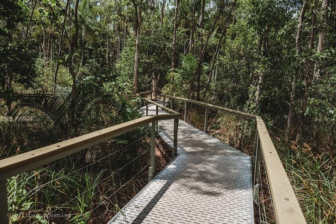 Litchfield Day Tour From Darwin With Offroad Dreaming - Crocodile Spotting and Wildlife