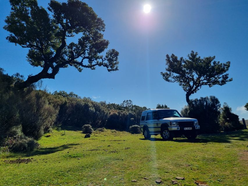 Madeira : SkyWalk, Fanal, Natural Pools 4x4 Jeep Tour - Additional Details