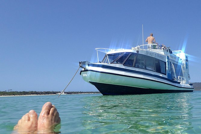 Maria Island Cruise and Guided Walk Day Tour With Lunch and Drinks - Additional Amenities and Services