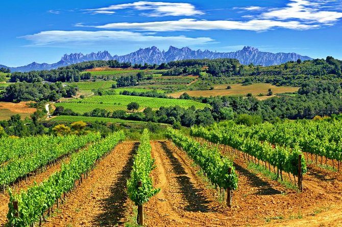 Montserrat,Vineyard, Wine Tasting Small Group Tour & Hotel Pickup - Final Words