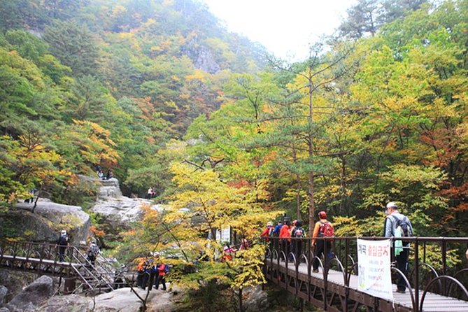 Odaesan National Park Hiking Day Tour: Explore Autumn Foliage Korea - Autumn Foliage Hiking Experience