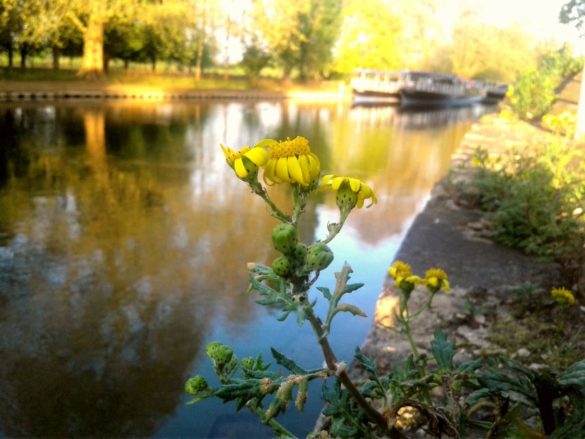 Oxford: River Cruise and Walking Tour to Iffley Village - Final Words