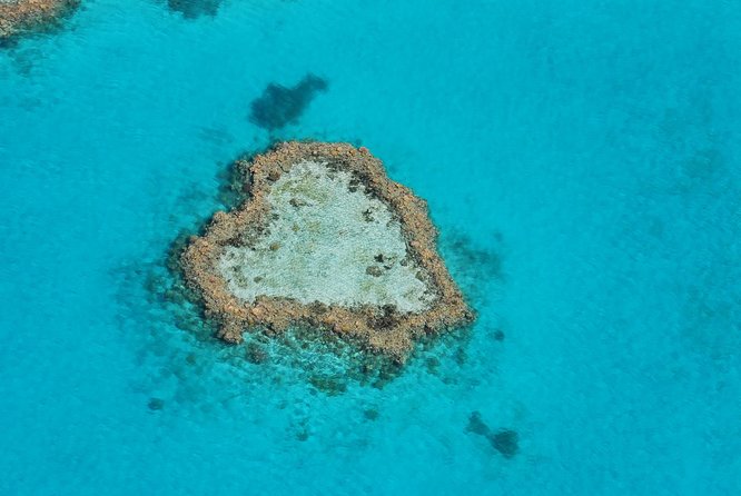 Panorama: the Ultimate Seaplane Tour - Great Barrier Reef & Whitehaven Beach - Tour Highlights and Memories