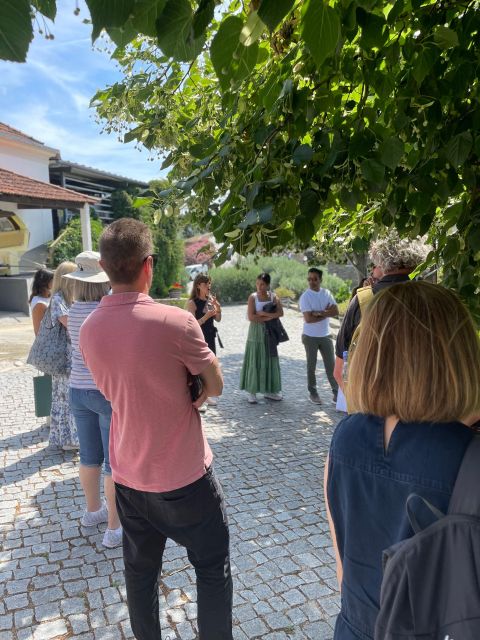 Private Douro Wine Tour - Final Words