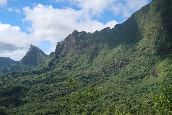 Private Half-Day Hike in the Opunohu Valley in Moorea - Final Words