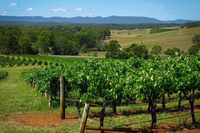 Private Luxury Tour: Tastes of the Hunter Valley - Personalized Tour Experience