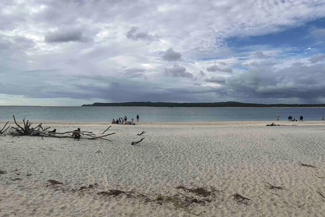 Rainbow Beach Tour With Lunch, Carlo Sandblow, and Cooloola - Booking and Pricing Information