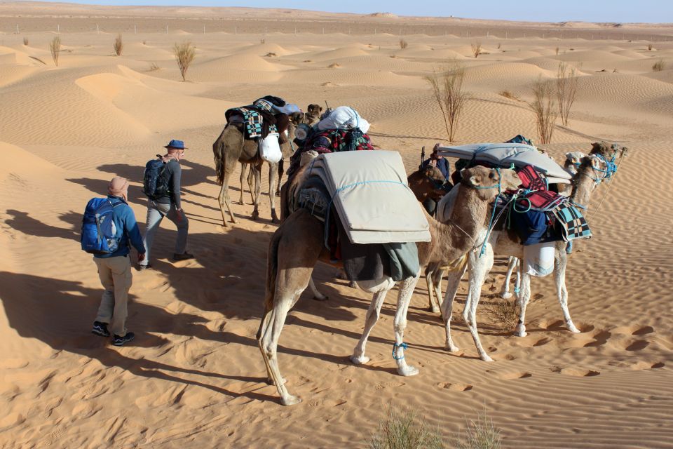 Sahara Desert: 2-Day Tour With Food and a Night in a Tent - Final Words