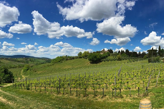 Siena: A Wine Tour and Tasting Experience - Common questions