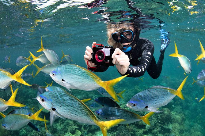 Sunlover Reef Cruises Cairns Great Barrier Reef Experience - Planning Your Reef Cruise