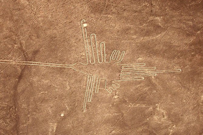 The Nazca Lines & Huacachina Oasis From Lima - Positive Reviews