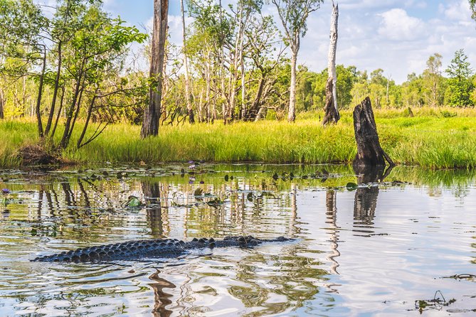 Top End Safari Camp Overnight Tour - Preparing for the Ultimate Safari