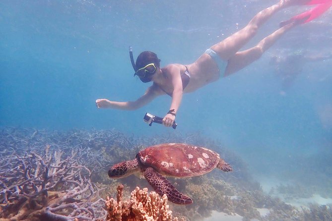 Turtle Tour - Ningaloo Reef Half Day Sea Kayak and Snorkel Tour - Tour Schedule and Timings