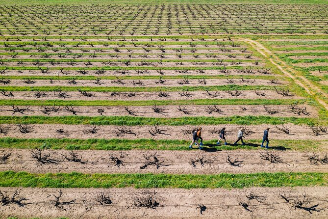 Yalumba Nursery & Grenache Discovery Tour + Platter Lunch - Booking and Confirmation Process