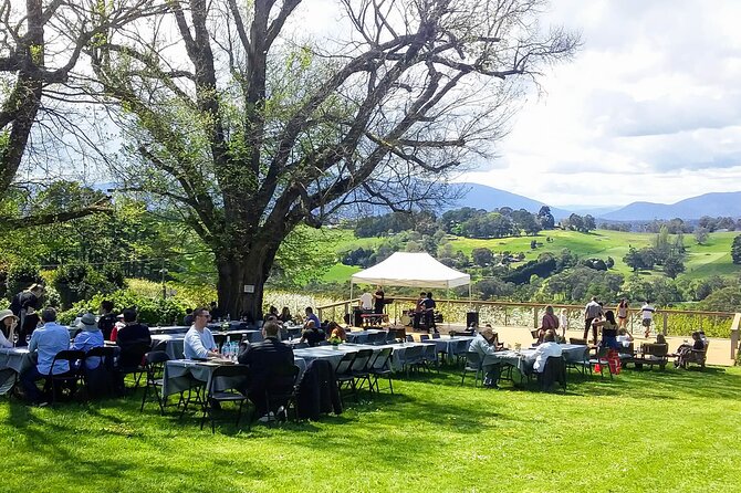 Yarra Valley Smaller Wineries Food and Wine Tour - Insider Tips and Essentials