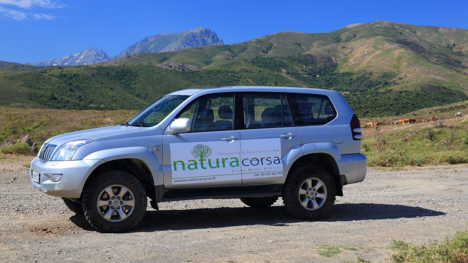 4x4 Agriates Desert and Beach Excursion From Calvi - Recent Review Examples