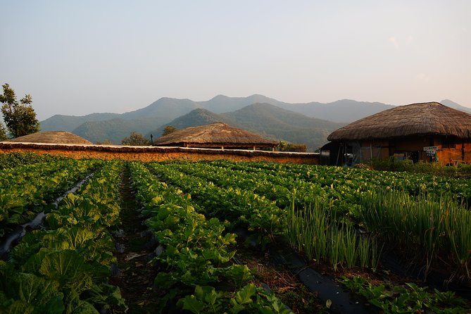 Andong Hahoe Village [Unesco Site] Premium Private Tour From Seoul - Preparation and Essentials