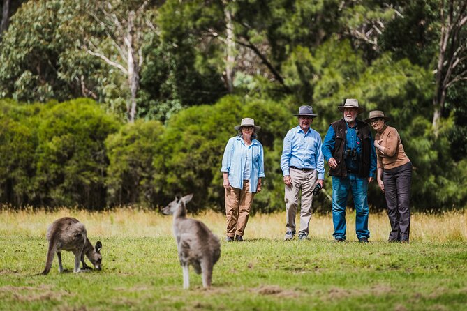 Best of Wildlife and Birds Tour - Tour Logistics and Essentials