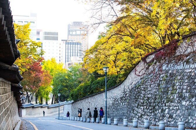 Best View Seoul Autumn Foliage Tour - Seasonal Tips and Insights