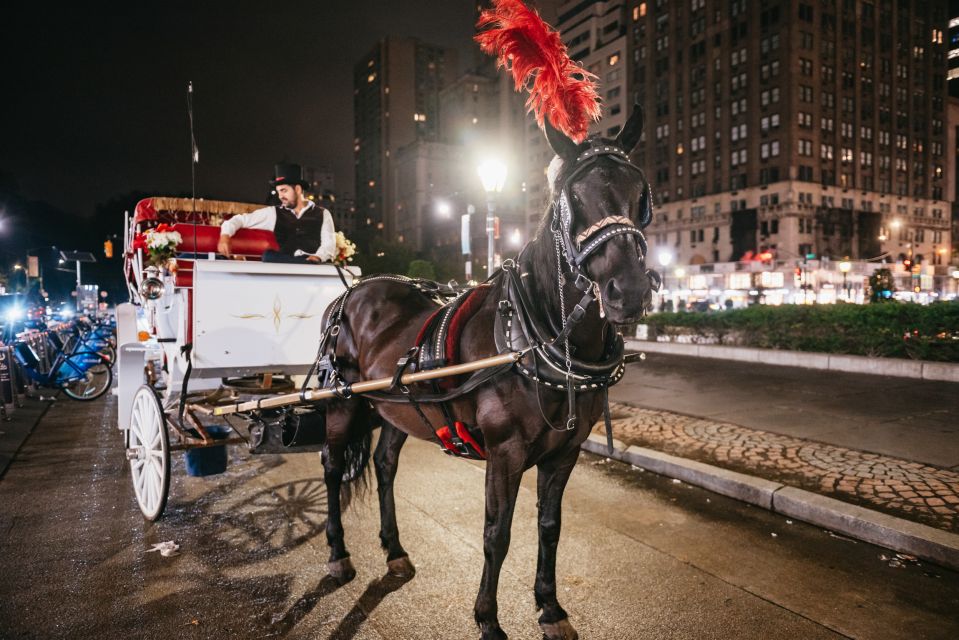 Central Park, Rockefeller & Times Carriage Ride (4 Adults) - Common questions