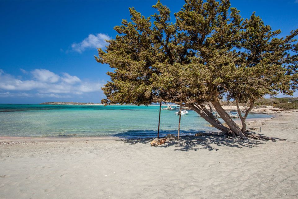 Chania: Elafonisi and Milia Mountain With Loungers and Lunch - Directions