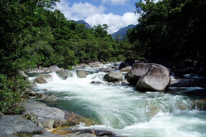 Daintree Rainforest, Mossman Gorge Small-Group From Port Douglas - What to Expect on This Tour