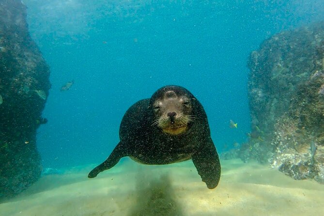 Discover Scuba Diving for Beginners With MANTA in Cabo San Lucas - Final Words