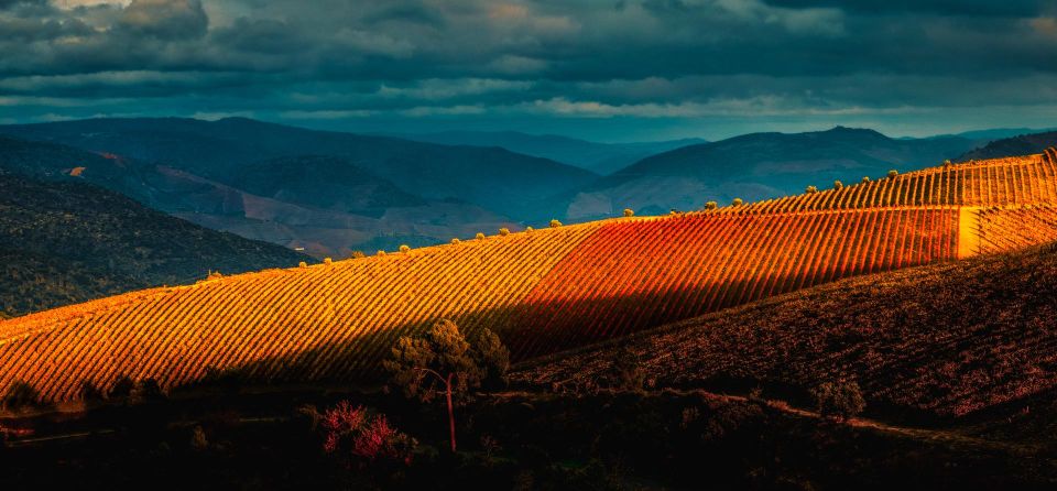 Douro Valley: 1 Day Landscape Photo Tour - Final Words