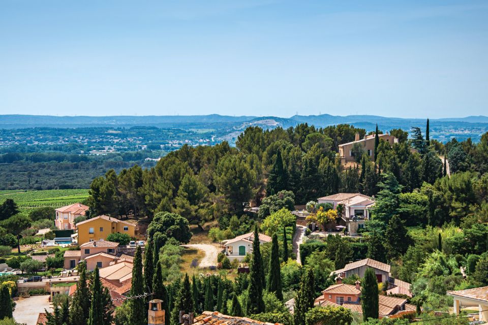 From Avignon: Half-Day Great Vineyards Tour - Final Words