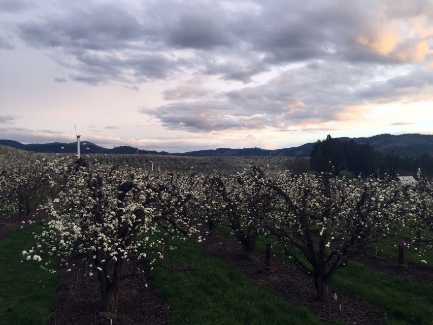 From Portland: Mt Hood, Hood River Valley and Columbia Gorge - Final Words