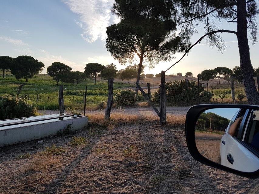 From Seville: Half-Day Bull Breeding Farm Tour - Final Words