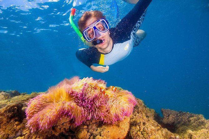 Full-Day Cruise Tour to Frankland Islands Great Barrier Reef - Safety Precautions and Guidelines