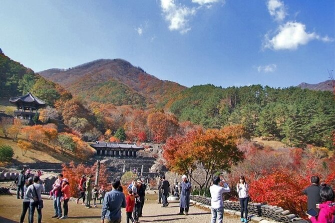 Full-Day Suncheon Bay Garden and Samseonggung Palace With Lunch - What to Expect on Tour