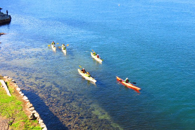 Half-Day Sydney Middle Harbour Guided Kayaking Eco Tour - Booking and Cancellation Policy